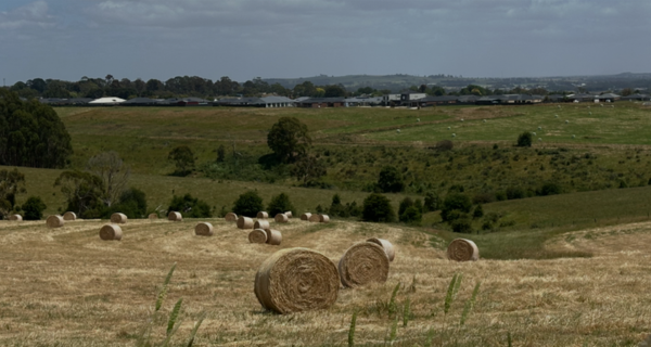 Dwelling in the Farming Zone